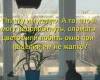  368